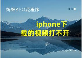 iphone下载的视频打不开