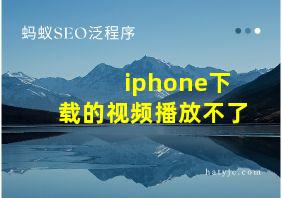 iphone下载的视频播放不了