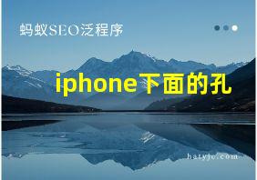 iphone下面的孔