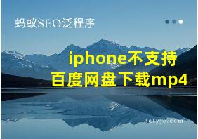 iphone不支持百度网盘下载mp4