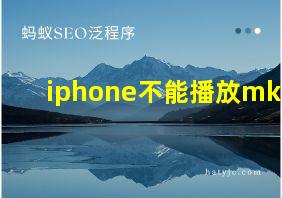 iphone不能播放mkv