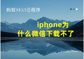 iphone为什么微信下载不了