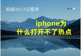 iphone为什么打开不了热点