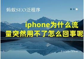 iphone为什么流量突然用不了怎么回事呢