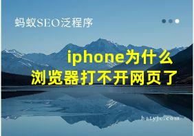 iphone为什么浏览器打不开网页了