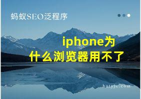 iphone为什么浏览器用不了