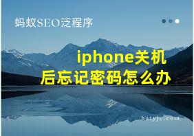 iphone关机后忘记密码怎么办