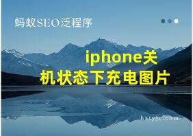 iphone关机状态下充电图片