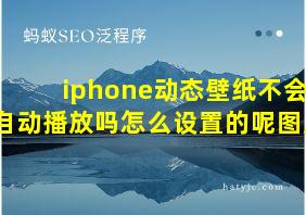 iphone动态壁纸不会自动播放吗怎么设置的呢图片