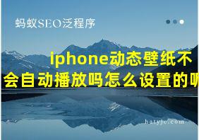 iphone动态壁纸不会自动播放吗怎么设置的呢