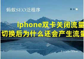 iphone双卡关闭流量切换后为什么还会产生流量