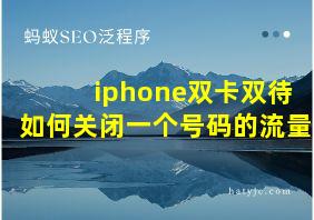 iphone双卡双待如何关闭一个号码的流量