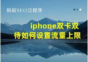 iphone双卡双待如何设置流量上限