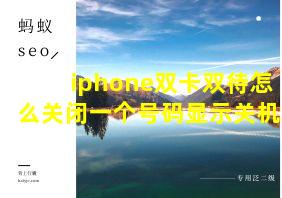 iphone双卡双待怎么关闭一个号码显示关机