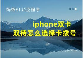 iphone双卡双待怎么选择卡拨号