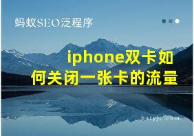 iphone双卡如何关闭一张卡的流量