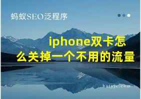 iphone双卡怎么关掉一个不用的流量