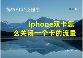 iphone双卡怎么关闭一个卡的流量