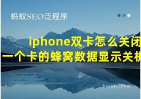 iphone双卡怎么关闭一个卡的蜂窝数据显示关机