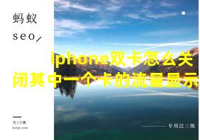 iphone双卡怎么关闭其中一个卡的流量显示