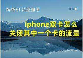 iphone双卡怎么关闭其中一个卡的流量