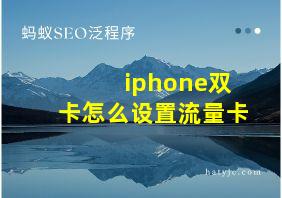 iphone双卡怎么设置流量卡