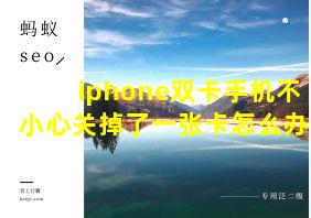 iphone双卡手机不小心关掉了一张卡怎么办