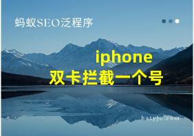 iphone双卡拦截一个号