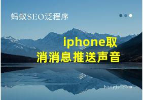 iphone取消消息推送声音