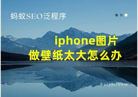 iphone图片做壁纸太大怎么办