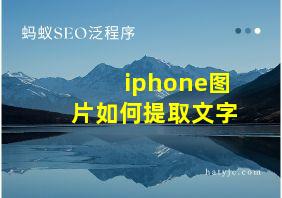 iphone图片如何提取文字