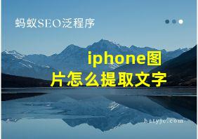 iphone图片怎么提取文字