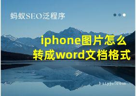 iphone图片怎么转成word文档格式