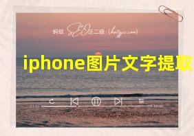 iphone图片文字提取