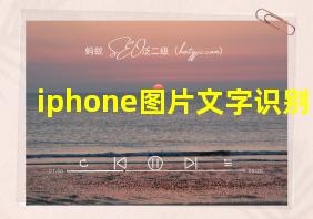 iphone图片文字识别