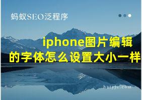 iphone图片编辑的字体怎么设置大小一样