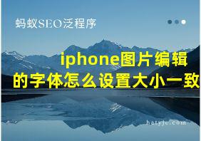 iphone图片编辑的字体怎么设置大小一致