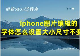 iphone图片编辑的字体怎么设置大小尺寸不变