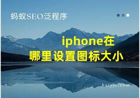 iphone在哪里设置图标大小