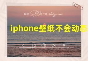 iphone壁纸不会动态