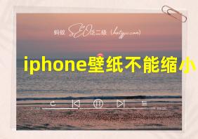 iphone壁纸不能缩小