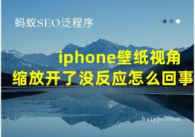 iphone壁纸视角缩放开了没反应怎么回事