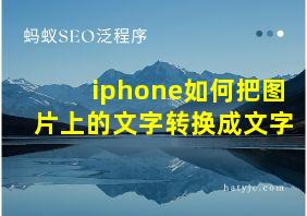 iphone如何把图片上的文字转换成文字