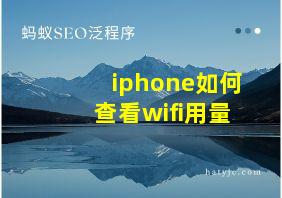 iphone如何查看wifi用量