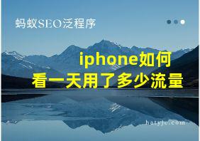 iphone如何看一天用了多少流量