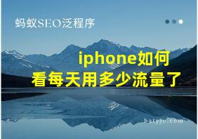 iphone如何看每天用多少流量了