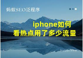 iphone如何看热点用了多少流量