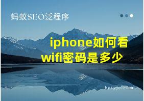 iphone如何看wifi密码是多少