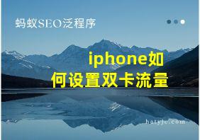 iphone如何设置双卡流量