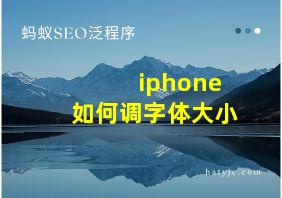 iphone如何调字体大小